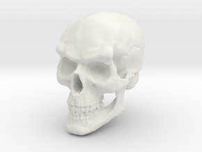 Vampire Skull in White Natural Versatile Plastic