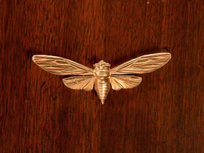 Raw Brass Cicada in Natural Brass