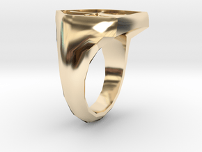 Mens Order Signet Ring in 14k Gold Plated Brass: 12.25 / 67.125