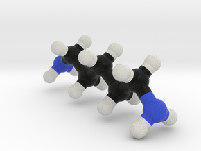 Cadaverine Molecule Model. 3 Sizes. in Full Color Sandstone: 1:10