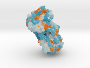 Human Matrix Metalloproteinase (MMP8) in Full Color Sandstone