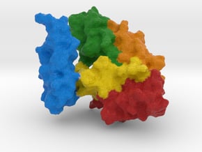 Heat Shock Protein  in Full Color Sandstone