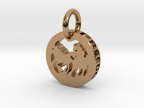 FREEDOM (precious metal pendant) in Polished Brass