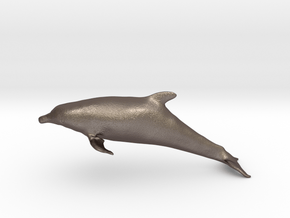 Bottlenose Dolphin (Turiops truncatus) in Polished Bronzed Silver Steel