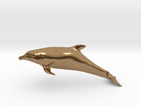 Bottlenose Dolphin (Turiops truncatus) in Natural Brass