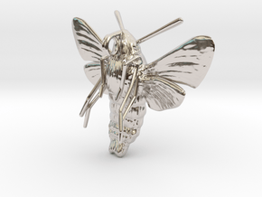 Hummingbird Hawk-Moth Pendant (solid version) in Platinum