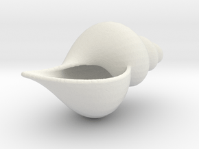 Cone Shell in White Natural Versatile Plastic