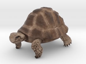 Tortoise in Natural Full Color Sandstone: Medium