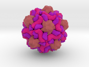 Physalis Mottle Virus in Full Color Sandstone