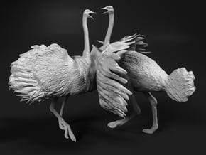 Ostrich 1:12 Fighting Pair in White Natural Versatile Plastic