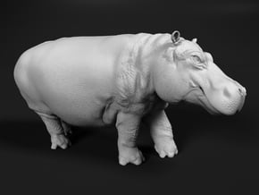 Hippopotamus 1:22 Walking Male in White Natural Versatile Plastic