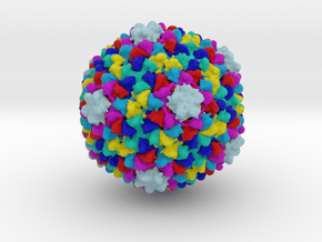 Enterobacteria Phage P22  in Full Color Sandstone