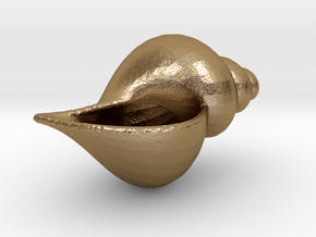 Cone Shell in Polished Gold Steel