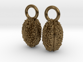 Willow Pollen Earrings - Nature Jewelry in Natural Bronze