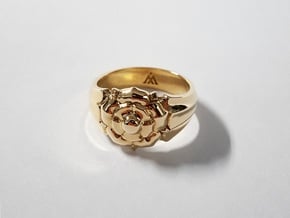 Tyrell Ring in Polished Brass: 10 / 61.5
