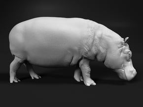 Hippopotamus 1:22 Walking Female in White Natural Versatile Plastic