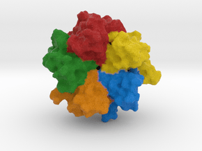Nucleoplasmin in Full Color Sandstone