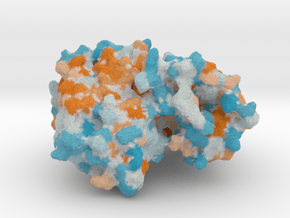  Rhodopsin Protein in Full Color Sandstone