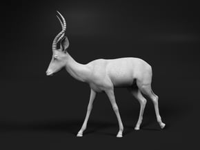 Impala 1:6 Walking Male in White Natural Versatile Plastic