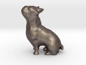 doggie-dog (bulldog) in Polished Bronzed Silver Steel