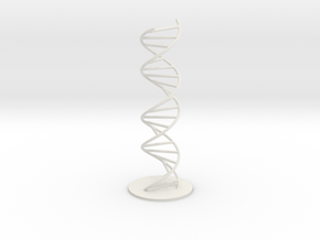 DNA Molecule Model Pedestal, Several Size Options in White Natural Versatile Plastic: 1:10