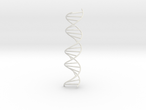 DNA Molecule Model. Several Sizes. in White Natural Versatile Plastic: 1:10