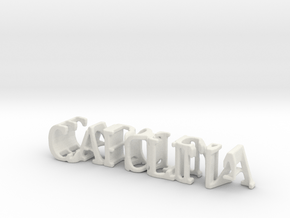 3dWordFlip: CAROLINA/Biological in White Natural Versatile Plastic