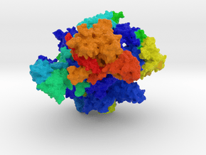 RNA Polymerase III in Full Color Sandstone