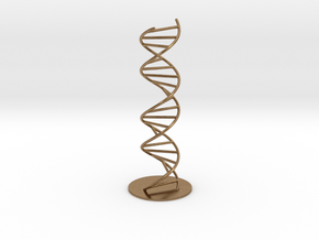 DNA Molecule Model Pedestal, Several Size Options in Natural Brass: 1:10