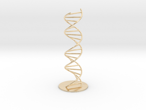 DNA Molecule Model Pedestal, Several Size Options in 14k Gold Plated Brass: 1:10