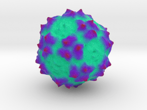Human Bocavirus 4 in Full Color Sandstone