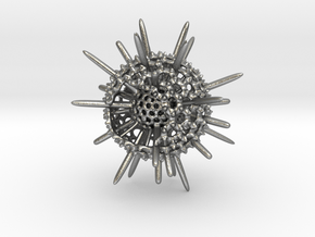 Spiky Spumellaria Sculpture - Science Gift in Natural Silver: Small