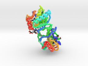 Matrix Metalloproteinase-8  in Glossy Full Color Sandstone