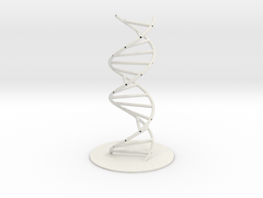 DNA Molecule Hollow, Large, 3 Sizes. in White Natural Versatile Plastic: 1:30