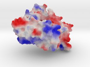 Cilary Neurotrophic Factor in Full Color Sandstone