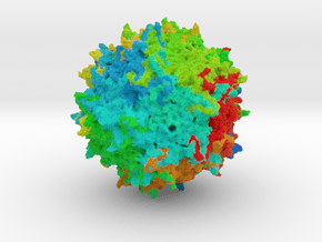 Adeno-Associated Virus 8 in Full Color Sandstone