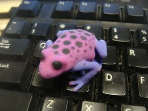 Purple Poison Dart Frog in Full Color Sandstone