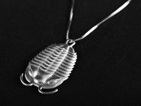 Trilobites Pendant in Natural Silver