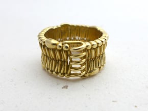 Cell Membrane Ring - Science Jewelry in Polished Brass: 7.5 / 55.5