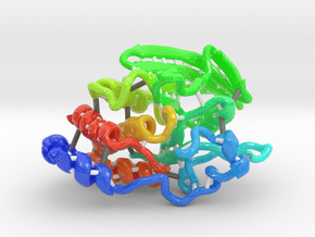 Protein Tyrosine Phosphatase Mu (PTPμ) in Glossy Full Color Sandstone