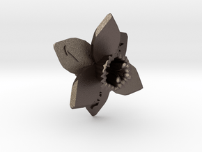 Daffodil D6 in Polished Bronzed Silver Steel
