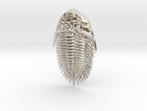 Trilobite Pendant in Rhodium Plated Brass