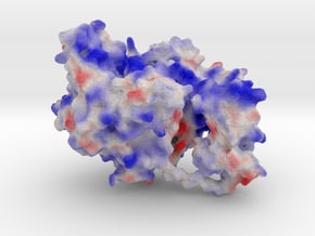 Mitochondrial RNA Polymerase in Full Color Sandstone
