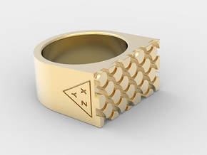 REPTILE1 PRINT in 18k Gold Plated Brass: 7 / 54