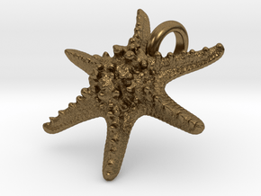 Horned Sea Star in Natural Bronze