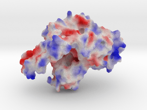 α-Fucosyltransferase  in Full Color Sandstone