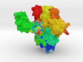 Tau bound to Microtubules in Full Color Sandstone