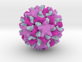 Carnation Mottle Virus in Full Color Sandstone