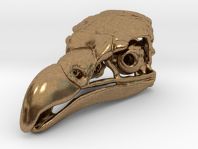 Vulture Skull in Natural Brass: Medium