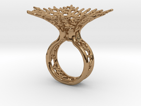 Hyphae Ring in Polished Brass: 5 / 49